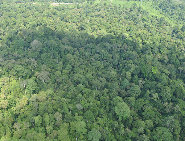 Aerial view of SLFR Current Stocking